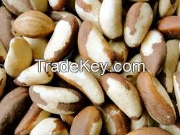 Brazil Nuts