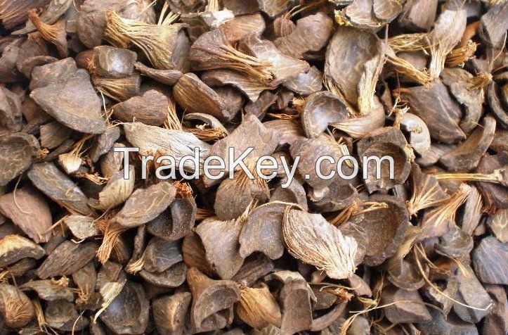 Good Quality Palm Kernel Shell for sale