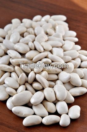 White Kidney Beans