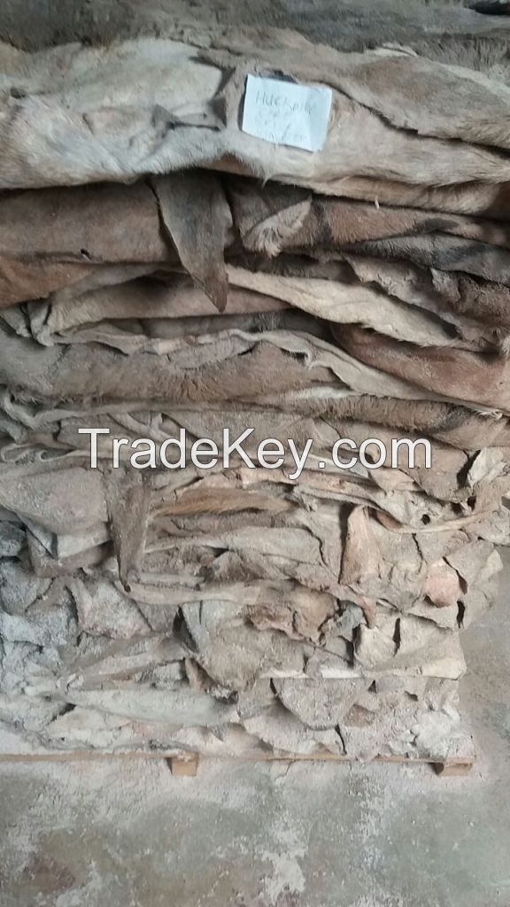 Premium Dry Salted Donkey Hides Salted Donkey Skin with Head Legs and Tail For Sale