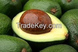 Fresh Fuerte/Hass Avocados