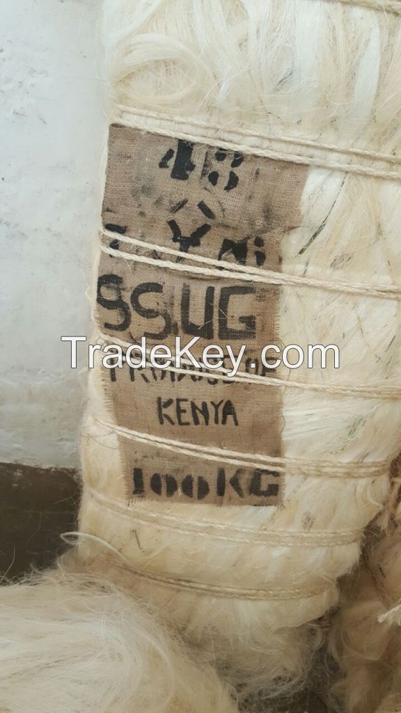 Kenya Sisal fiber for sisal fabric