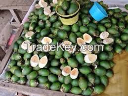 Betel Nuts Whole and Split / Slice Betel Nut / Dried Betel Nut