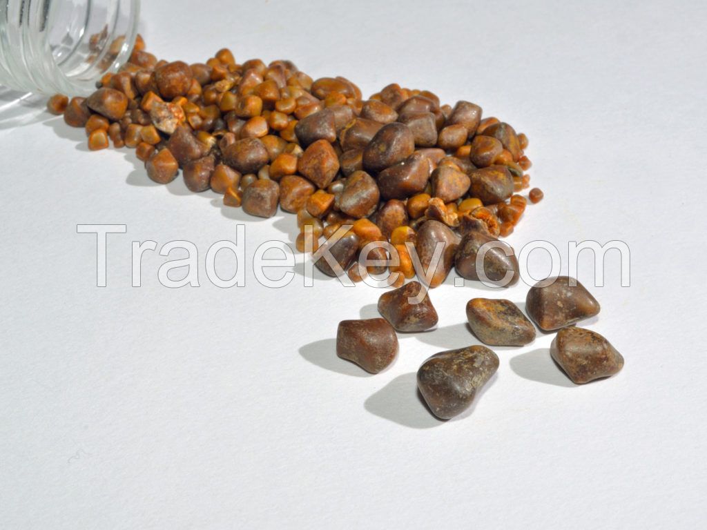 Best Quality Dried Natural Ox/Cow Gallstone .