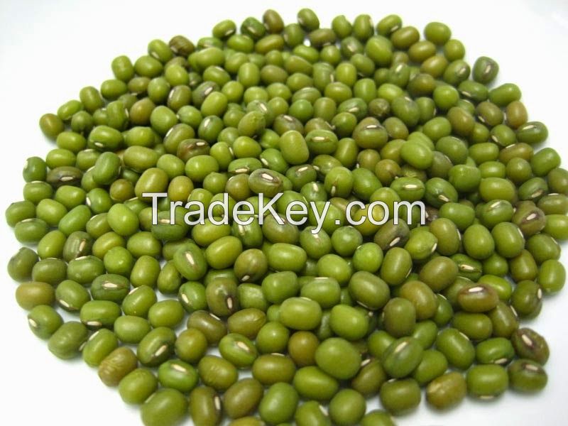 Sparkling green mung beans for export at best price
