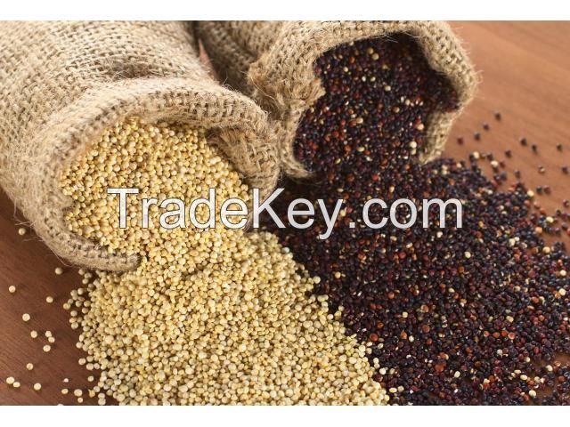 High quality organic quinoa at competitive price