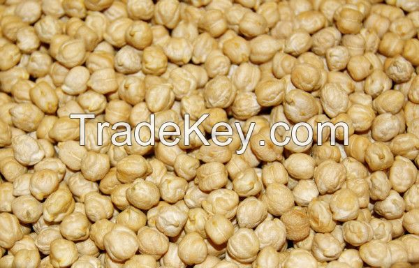 Kabuli Chickpeas for sale