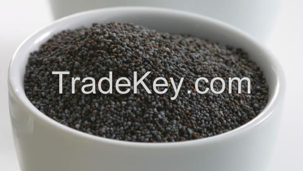 Lotus Seeds and Poppy Seeds for hot sale