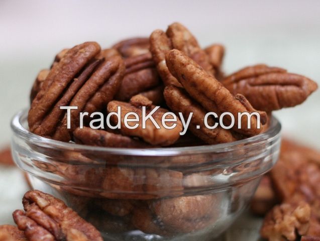 High grade Pecan nuts for sale at competitive price