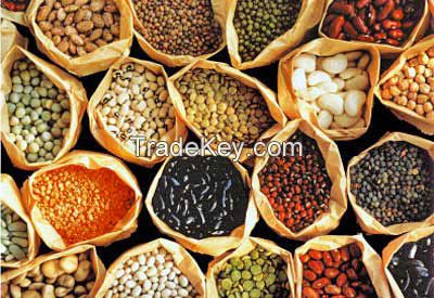 High quality Flower Seeds, Forage Seeds, Fruit Grafts, Hybrid Seeds for export.