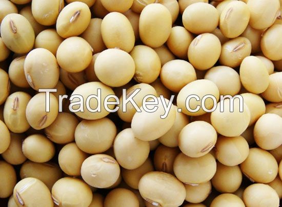 High quality Mung Beans, Peas, Preserved Beans, Robusta Coffee Beans, Soybeans for export.