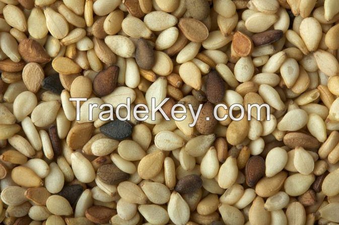 High quality sesame seeds, sunflower Seeds, tomato Seeds, other seeds for export.