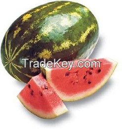 High quality Melon Seeds, Peanuts, Pecan Nuts, Pine Nuts, Pistachio Nuts for export.