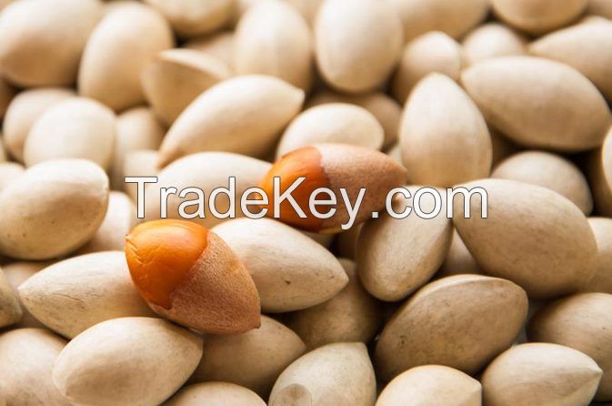 High quality Dried Kernels, Ginkgo Nuts, Hazelnuts, Macadamia Nuts for export.