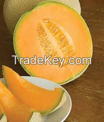 Melon Seeds for sale