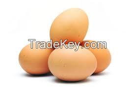 Best Quality Organic Fresh Eggs