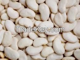 best Butter Beans for sell