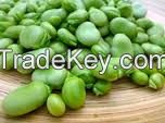 best grade Lima Beans