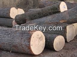 Oak Logs and Lumbers HIGH QUALITY