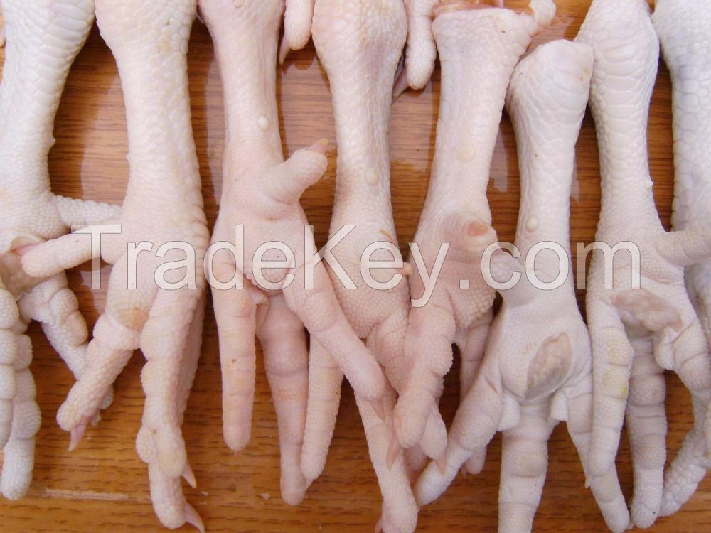 Australian Halal Frozen Whole Chicken, Frozen Chicken Paws Frozen Processed Chicken Feet