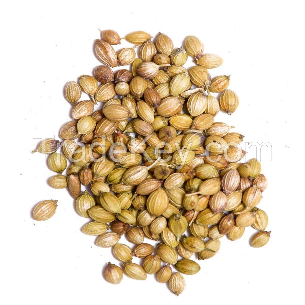 100% Natural High Quality Raw Material Spice Coriander Seed
