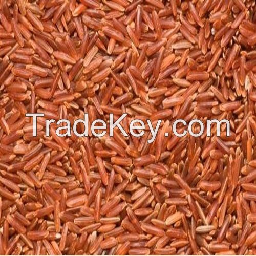 Thai Red Rice, Thai Organic Red Jasmine Rice, Thai Cargo Rice, Grade A Red Long Grain Rice Red Cargo Rice FOR RICE IMPORTERS