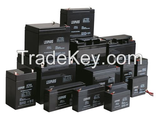 STANDARD SERIES BATTERY