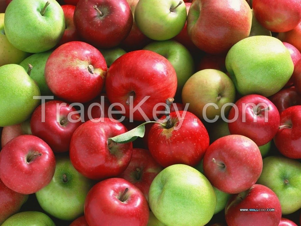 Red Fresh Apples