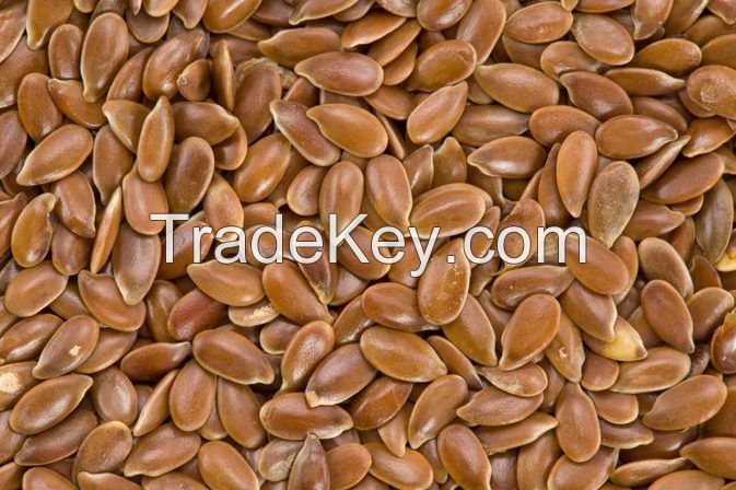 Flax Seed