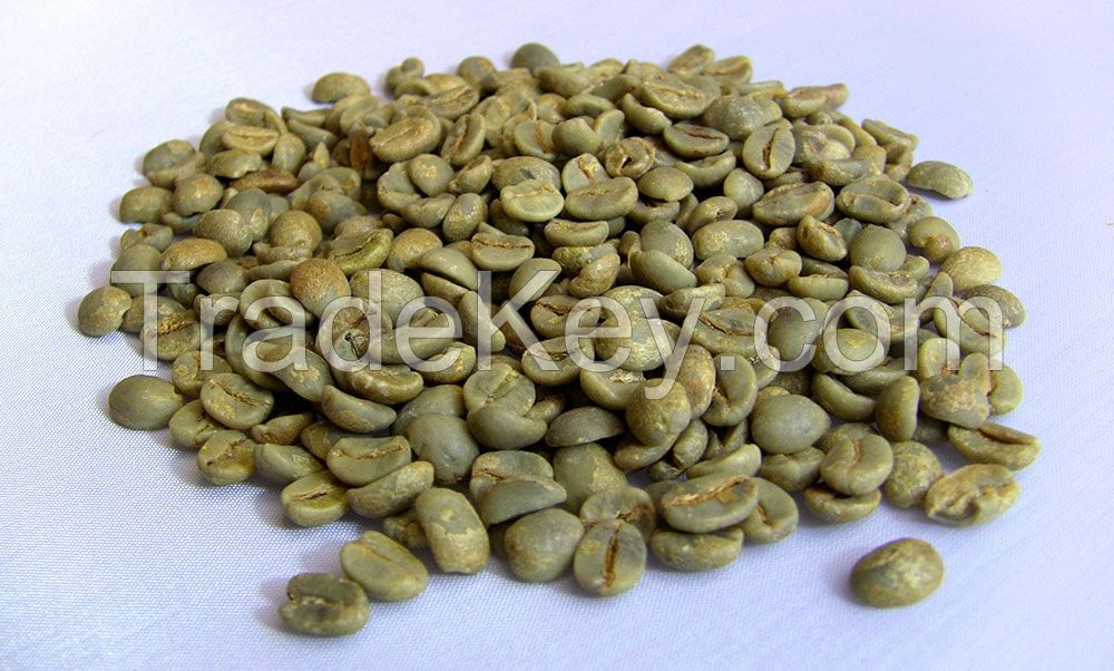 Green Beans Arabica Coffee