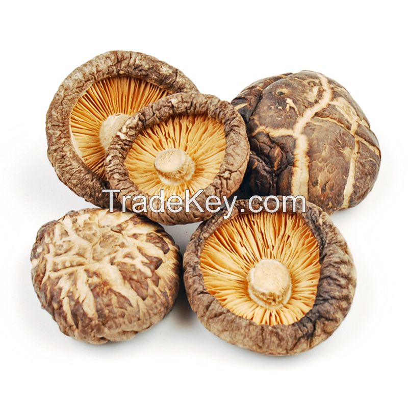 Dried Shiitake Mushrooms