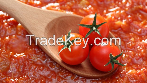 Tomato Paste