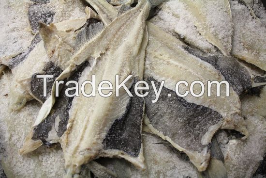 Wet Salted Cod Fish