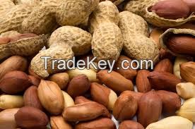 Ground Nuts / Pea Nuts