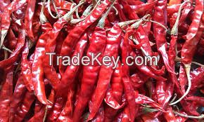 Fresh/Dried Red Chilli