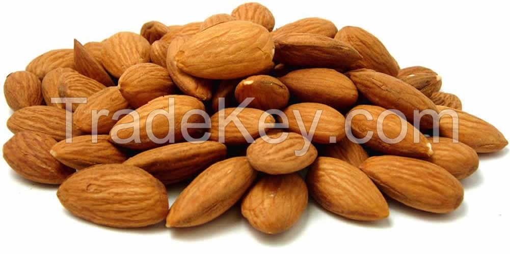 Quality Almond Nut for sale