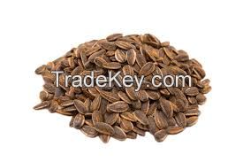 Sunflower Seeds Kernels