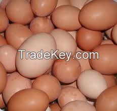 Fresh Chicken Eggs (Brown/White)