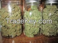 White Berry, Bubble Berry, Kussh Strains, OG Cush, Sweetleaf Obliteration Herbal Incense