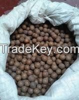 Raw macadamia nut