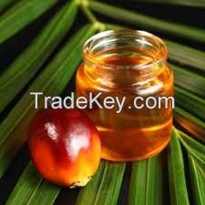 High Quality  Refined palm oil
