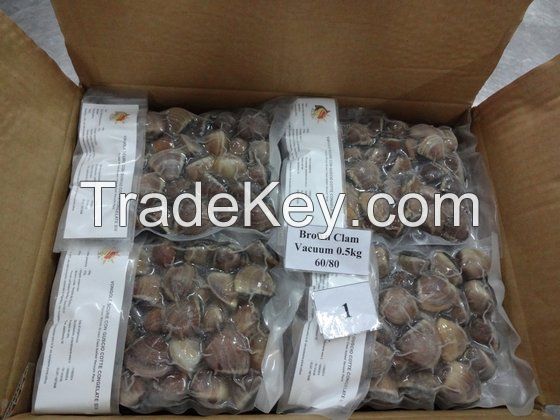 High Quality FROZEN COOKED WHOLE BROWN Clam