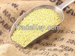 yellow millets corn Grain Products