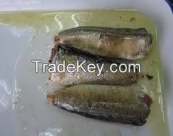 Quality Canned sardine fish in vegetable oil 125g canned seafood canned food