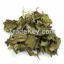 Peppermint Leaf TBC , Spearmint Leaf TBC, Mint Leaf TBC, 