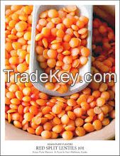 Red Lentils Best Quality