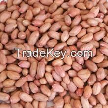 Peanut kernels (Virginia shape)