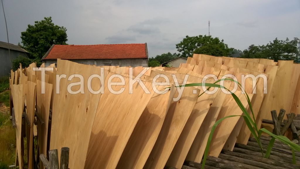 Eucalyptus Core Veneer for Manufacturing Plywood