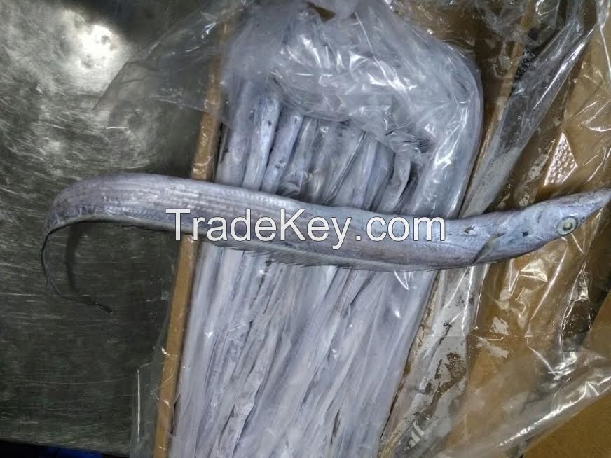 Frozen Ribbonfish 2 containers loads A and B Grades