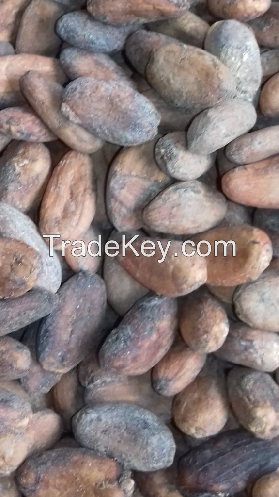 GRADE A COCOA BEANS